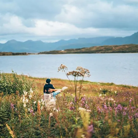 Midt I Lofoten Alstad (Nordland)